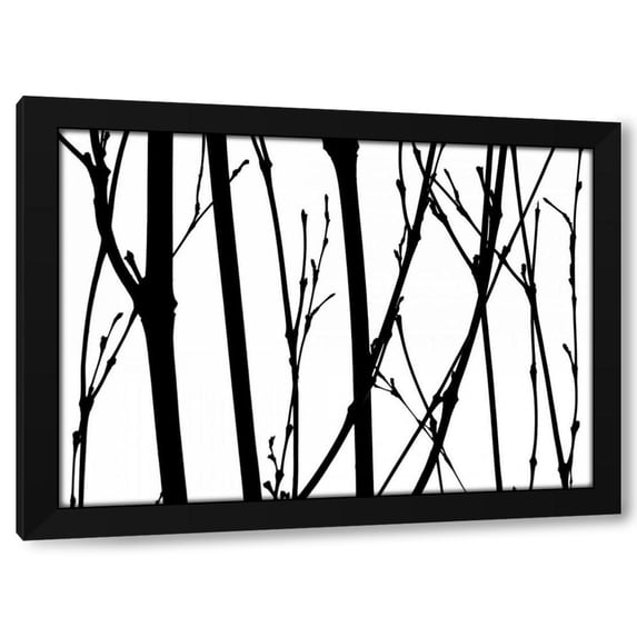 Monika Burkhart 14x11 Black Modern Wood Framed Wall Art Titled - Branch Silhouette V