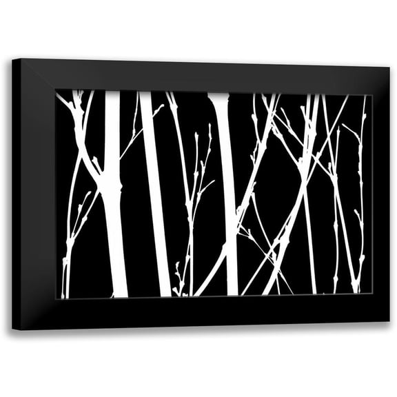 Burkhart, Monika 14x11 Black Modern Framed Museum Art Print Titled - Reverse Silhouette II