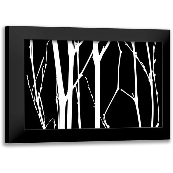 Burkhart, Monika 14x11 Black Modern Framed Museum Art Print Titled - Reverse Silhouette I