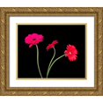 thumbnail image 1 of Burkhart, Monika 14x12 Gold Ornate Wood Framed with Double Matting Museum Art Print Titled - Crazy Daisies II, 1 of 4