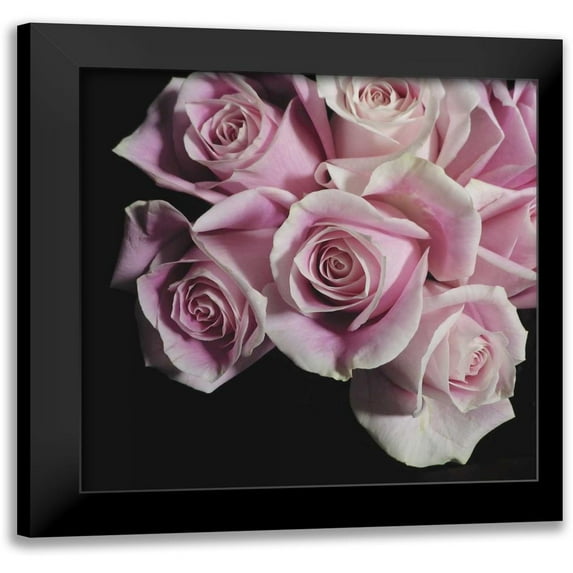Burkhart, Monika 15x15 Black Modern Framed Museum Art Print Titled - Moonlight and Roses I