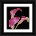thumbnail image 1 of Burkhart, Monika 15x15 Black Ornate Wood Framed with Double Matting Museum Art Print Titled - Pink Calla Lilies II, 1 of 4