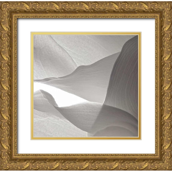 Burkhart, Monika 15x15 Gold Ornate Wood Framed with Double Matting Museum Art Print Titled - White Callas VI