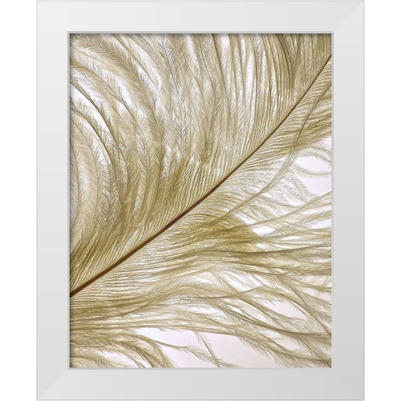 Burkhart, Monika 15x18 White Modern Wood Framed Museum Art Print Titled - Feather Close-Up II