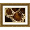 thumbnail image 1 of Burkhart, Monika 18x14 Gold Ornate Wood Framed with Double Matting Museum Art Print Titled - Lotus Pods IV, 1 of 4