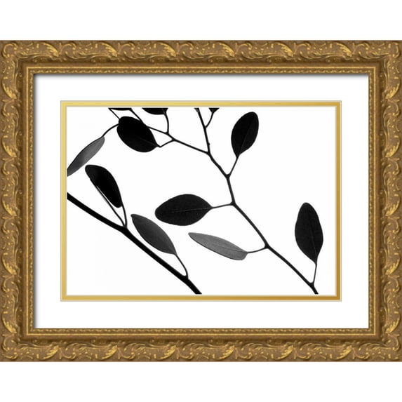 Burkhart, Monika 18x14 Gold Ornate Wood Framed with Double Matting Museum Art Print Titled - Lunaria Honesty IV
