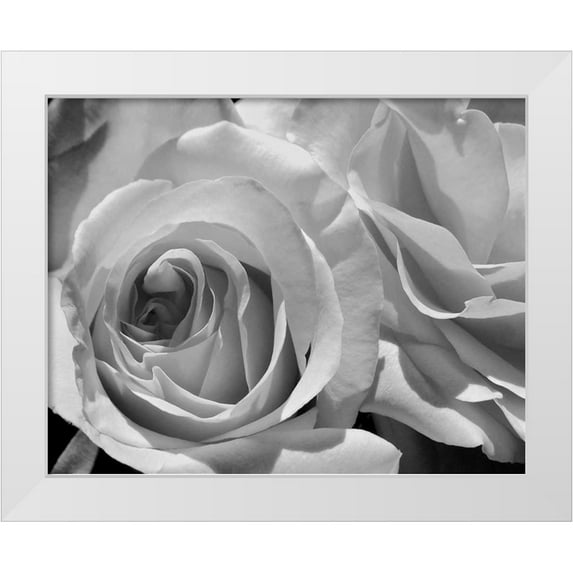 Burkhart, Monika 18x15 White Modern Wood Framed Museum Art Print Titled - LEssence de la Rose BW III