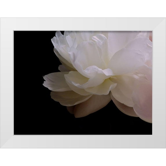 Burkhart, Monika 18x15 White Modern Wood Framed Museum Art Print Titled - White Peony I