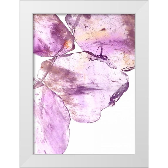 Burkhart, Monika 19x24 White Modern Wood Framed Museum Art Print Titled - Purple II