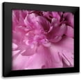 thumbnail image 1 of Burkhart, Monika 20x20 Black Modern Framed Museum Art Print Titled - Spring Peonies I, 1 of 5