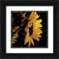 thumbnail image 1 of Burkhart, Monika 20x20 Black Ornate Wood Framed with Double Matting Museum Art Print Titled - Sunlit Sunflowers VIII, 1 of 4