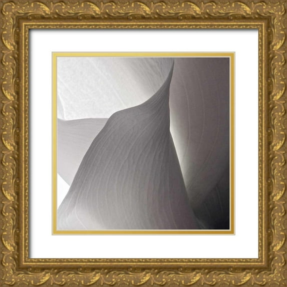 Burkhart, Monika 20x20 Gold Ornate Wood Framed with Double Matting Museum Art Print Titled - White Callas IV