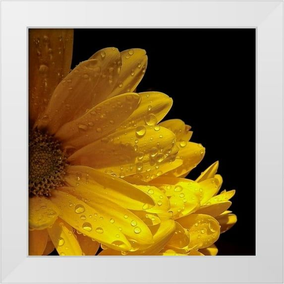 Burkhart, Monika 20x20 White Modern Wood Framed Museum Art Print Titled - Sun Sparkled I