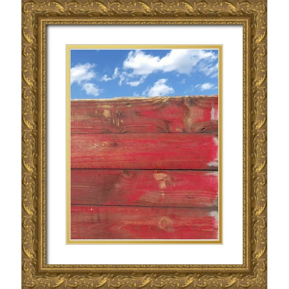 Burkhart, Monika 20x24 Gold Ornate Wood Framed with Double Matting Museum Art Print Titled - Over The Fence