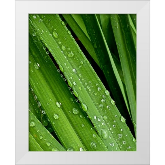 Burkhart, Monika 20x24 White Modern Wood Framed Museum Art Print Titled - April Rain II