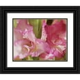 thumbnail image 1 of Burkhart, Monika 24x20 Black Ornate Wood Framed with Double Matting Museum Art Print Titled - Gladiolas, 1 of 4
