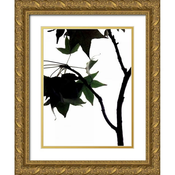 Burkhart, Monika 25x32 Gold Ornate Wood Framed with Double Matting Museum Art Print Titled - Maple Branch IV