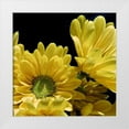 thumbnail image 1 of Burkhart, Monika 26x26 White Modern Wood Framed Museum Art Print Titled - Daisy Dazzle II, 1 of 4
