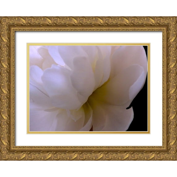 Burkhart, Monika 32x24 Gold Ornate Wood Framed with Double Matting Museum Art Print Titled - White Peony II