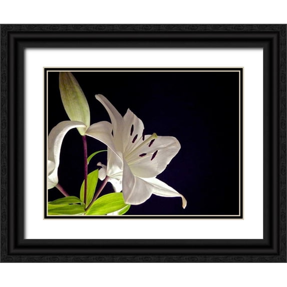Burkhart, Monika 32x25 Black Ornate Wood Framed with Double Matting Museum Art Print Titled - White Lilies I
