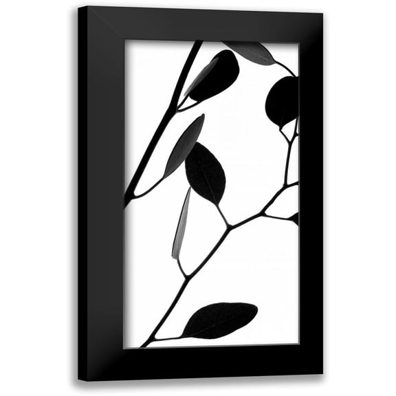 Burkhart, Monika 9x14 Black Modern Framed Museum Art Print Titled - Lunaria Honesty II