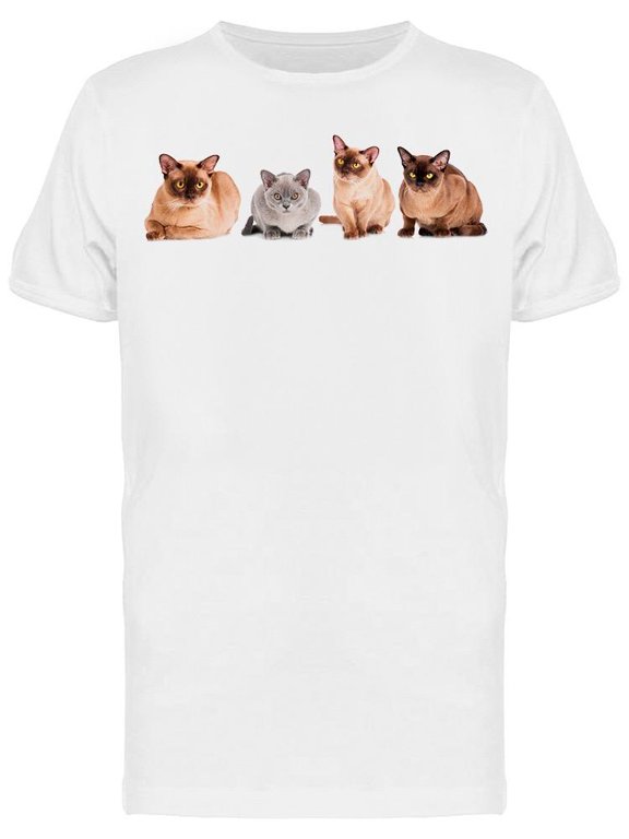 Burmese Cats Posing T-Shirt Men -Image by Shutterstock Men T-Shirt, Male Large