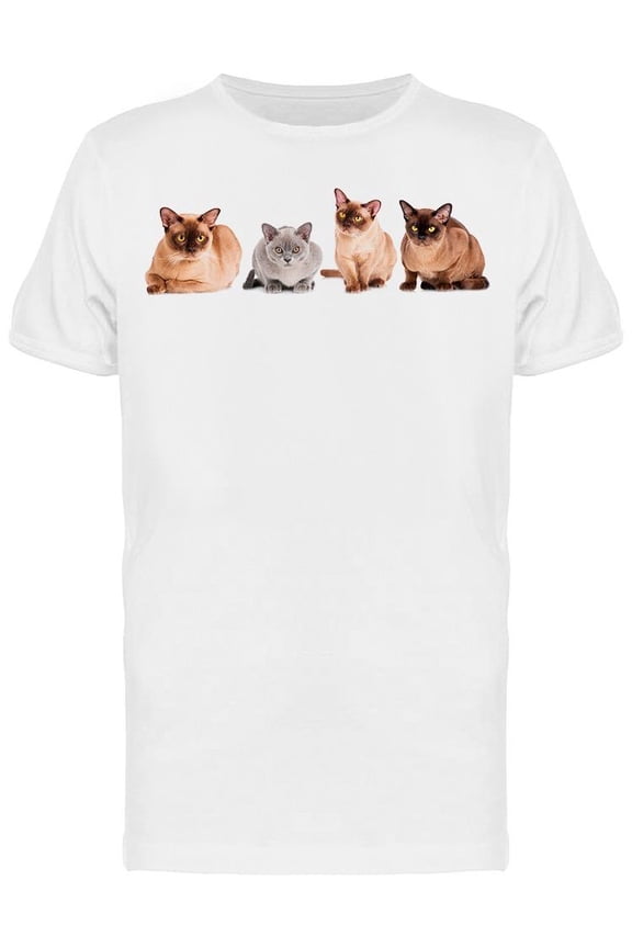 Burmese Cats Posing T-Shirt Men -Image by Shutterstock Men T-Shirt, Male Large