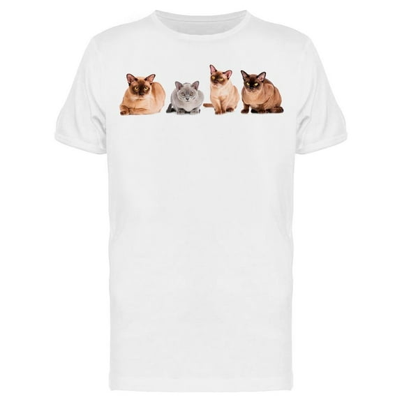 Burmese Cats Posing T-Shirt Men -Image by Shutterstock Men T-Shirt, Male XX-Large