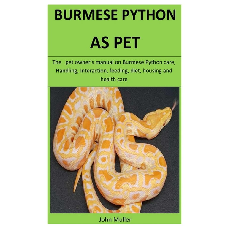 Burmese Python Pet