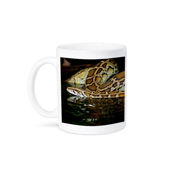 3drose, Burmese Python Snake Native to China and Malaysia - Na02 Dno0874 - David Northcott, 11oz Mug