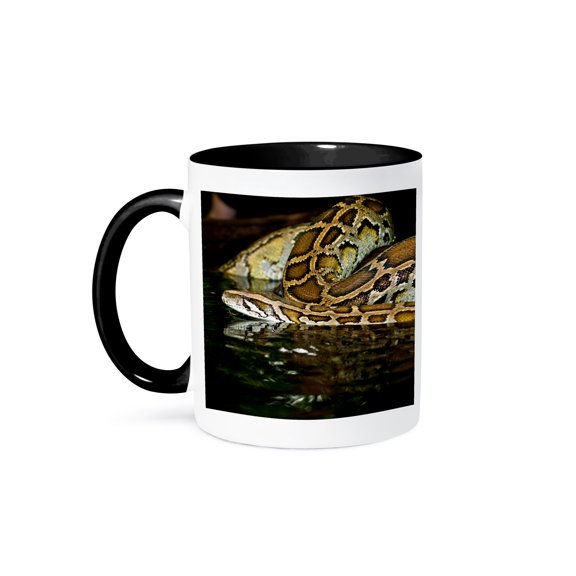 3drose, Burmese Python Snake Native to China and Malaysia - Na02 Dno0874 - David Northcott, 11oz Two-tone Black Mug