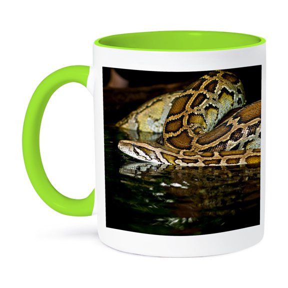 3drose, Burmese Python Snake Native to China and Malaysia - Na02 Dno0874 - David Northcott, 11oz Two-tone Green Mug