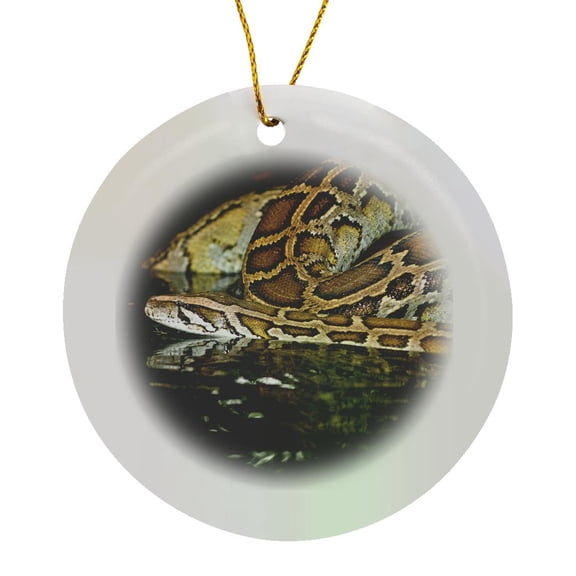 3drose, Burmese Python Snake Native to China and Malaysia - Na02 Dno0874 - David Northcott, Circle Porcelain Ornament