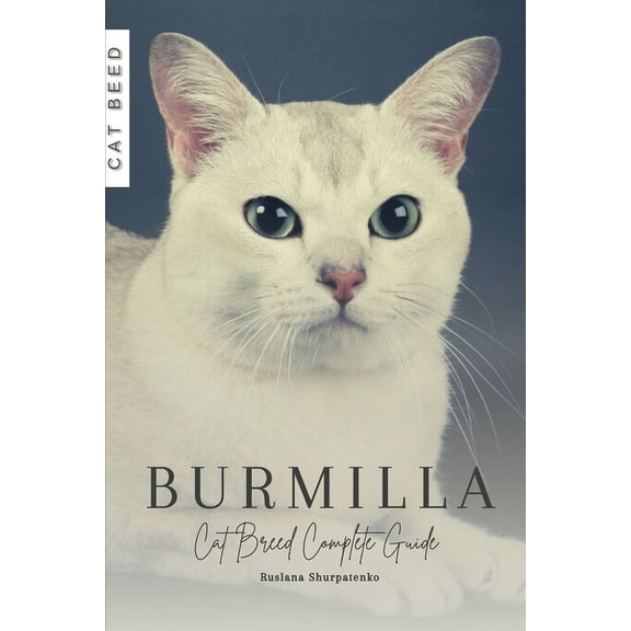 Burmilla: Cat Breed Complete Guide, (Paperback)