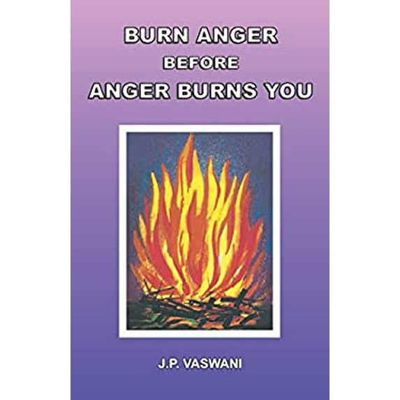 Pre-Owned Burn Anger Before Anger Burns You (Paperback) 9380743467 9789380743462