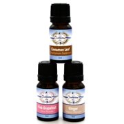 Burn Boost Essential Oil Gift Set- Ginger, Pink Grapefruit, Cinnamon Leaf