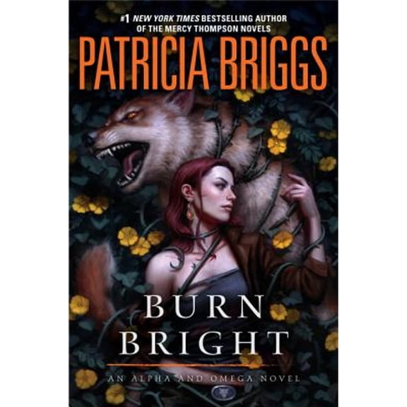 Pre-Owned Burn Bright (Hardcover) 0425281310 9780425281314
