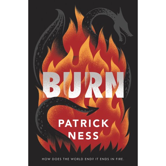 Burn, (Hardcover)
