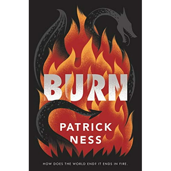 Pre-Owned Burn (Hardcover)