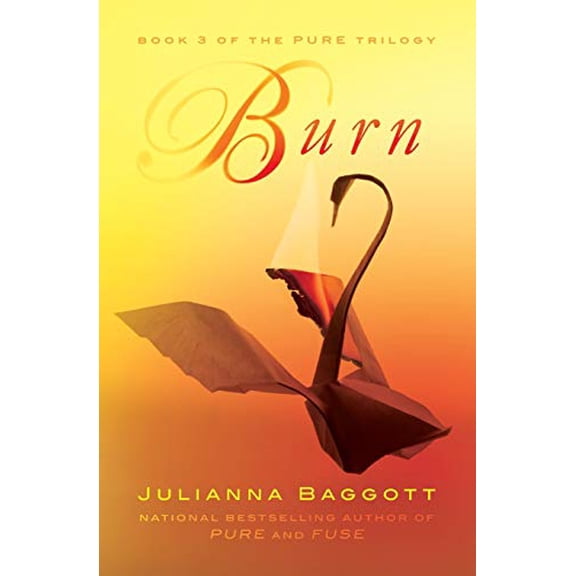 Pre-Owned Burn (Paperback) 9781455503018