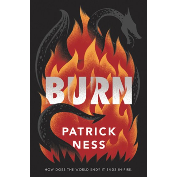 Pre-Owned Burn (Paperback) 0062869507 9780062869500