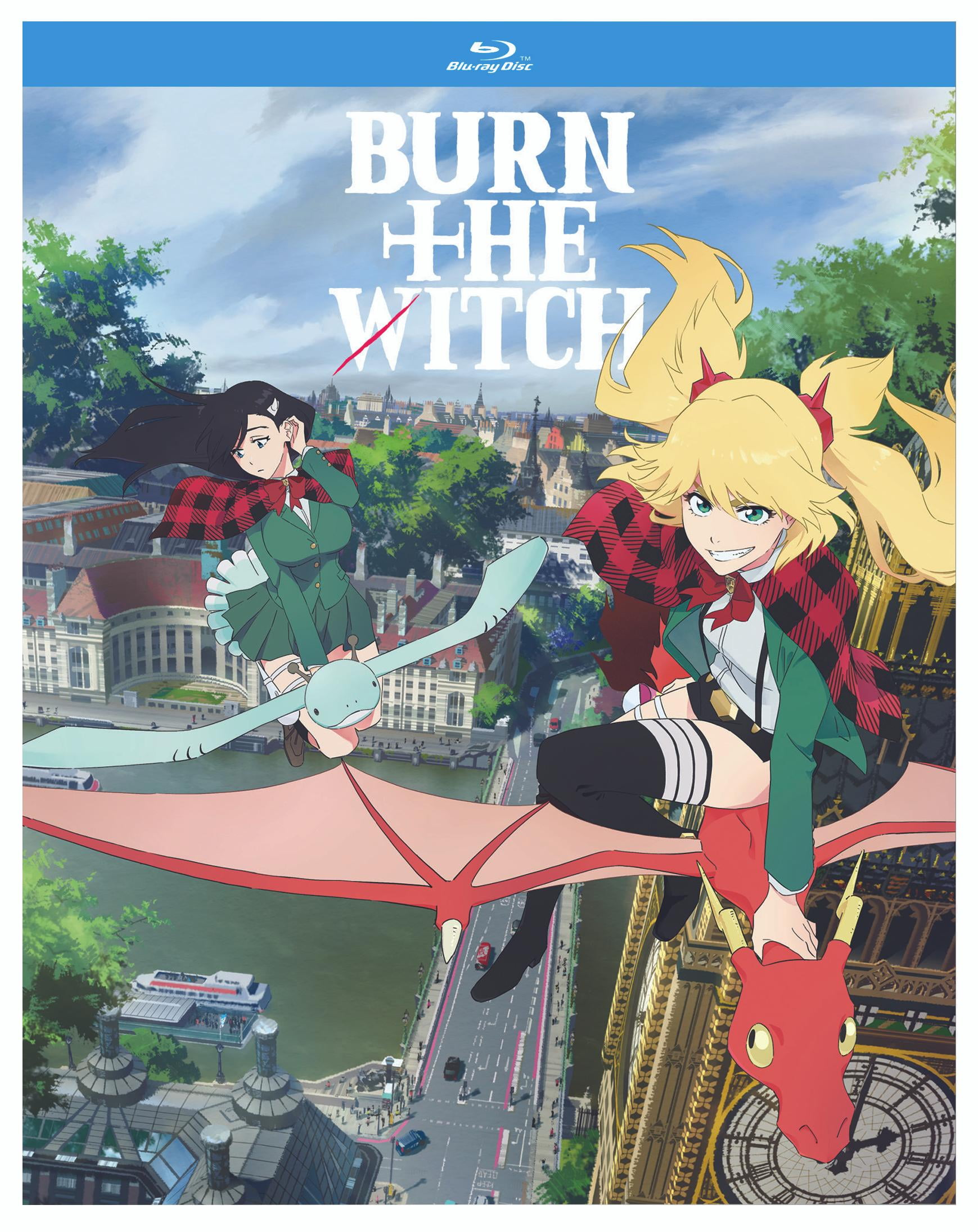 Burn The Witch - Limited Series (Blu-ray) - Walmart.com