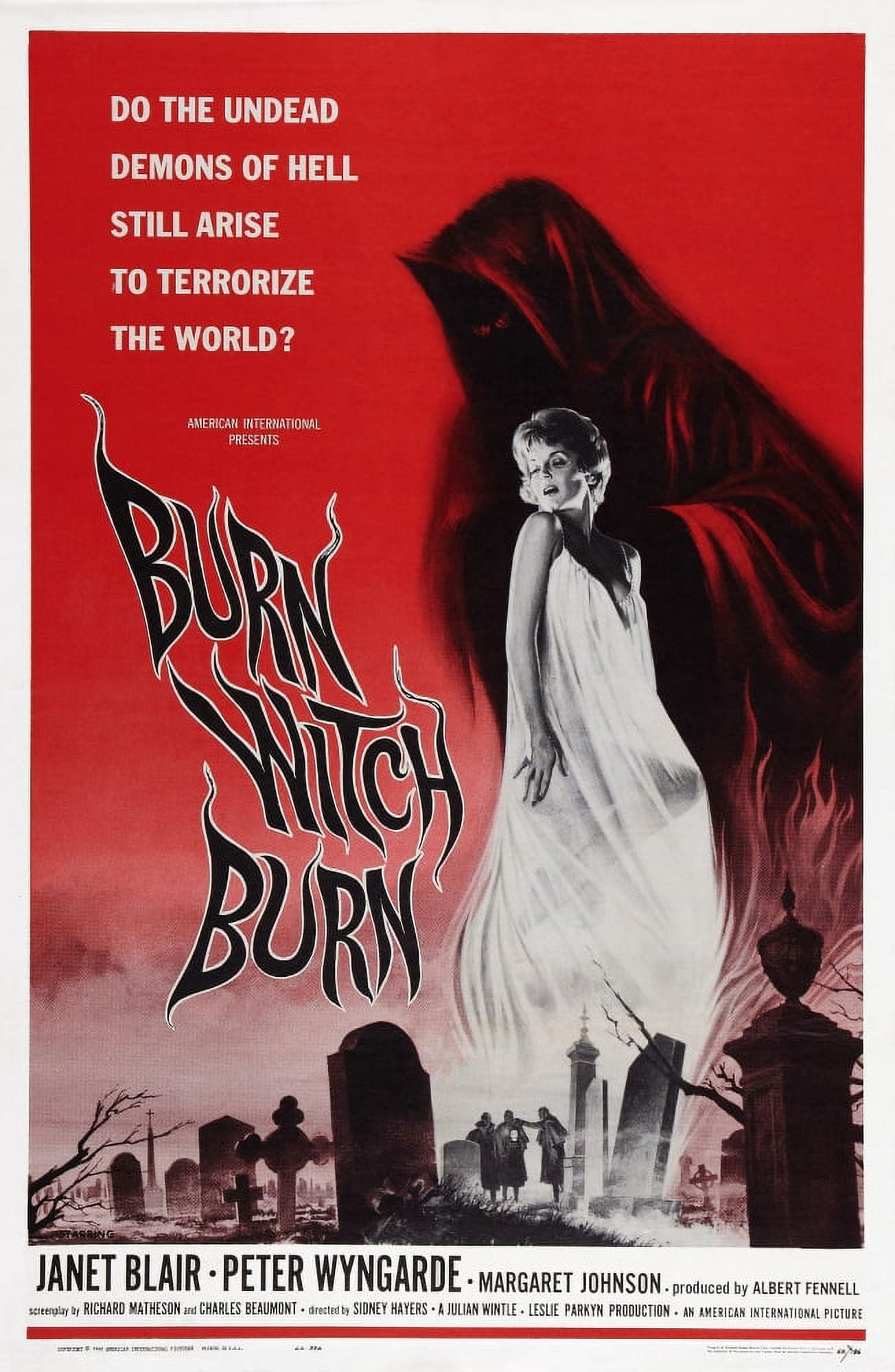 Burn Witch Burn (Aka Night Of The Eagle) Canvas Art - (18 x 24)