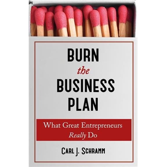 Burn the Business Plan : What Great Entrepreneurs Really Do