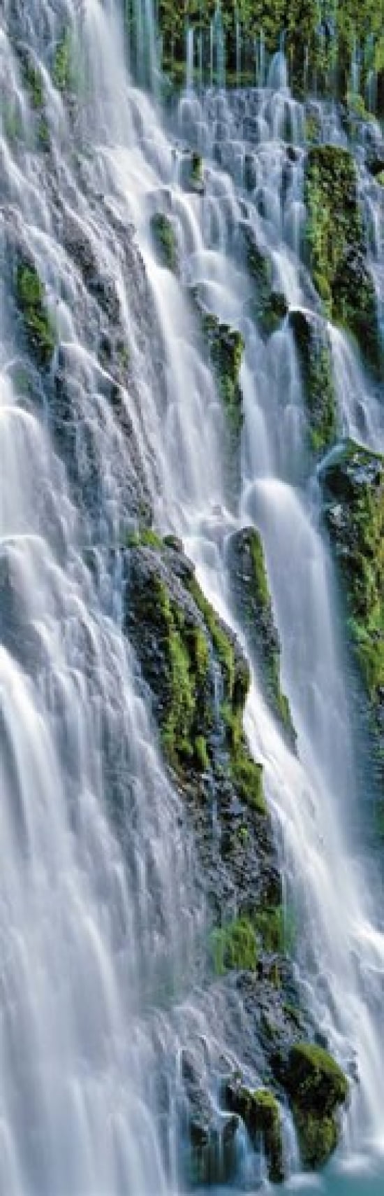 Burney Falls McArthur-Burney Falls Memorial State Park California Canvas Art - Panoramic Images (12 x 38)