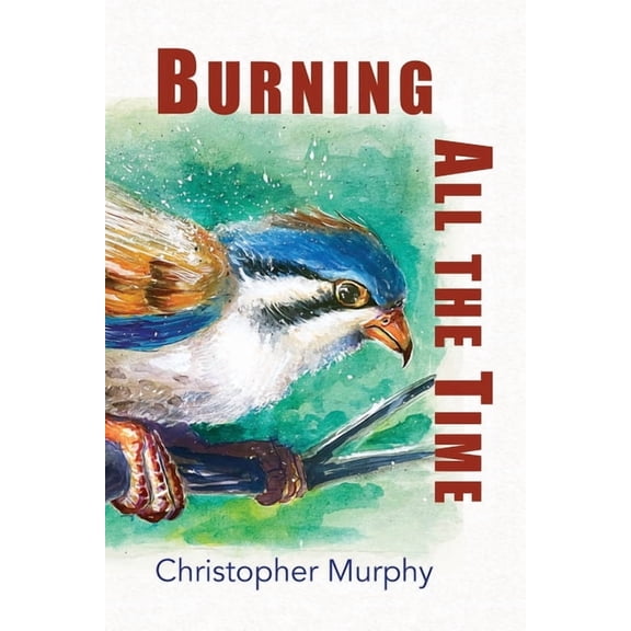 Burning All the Time (Paperback)