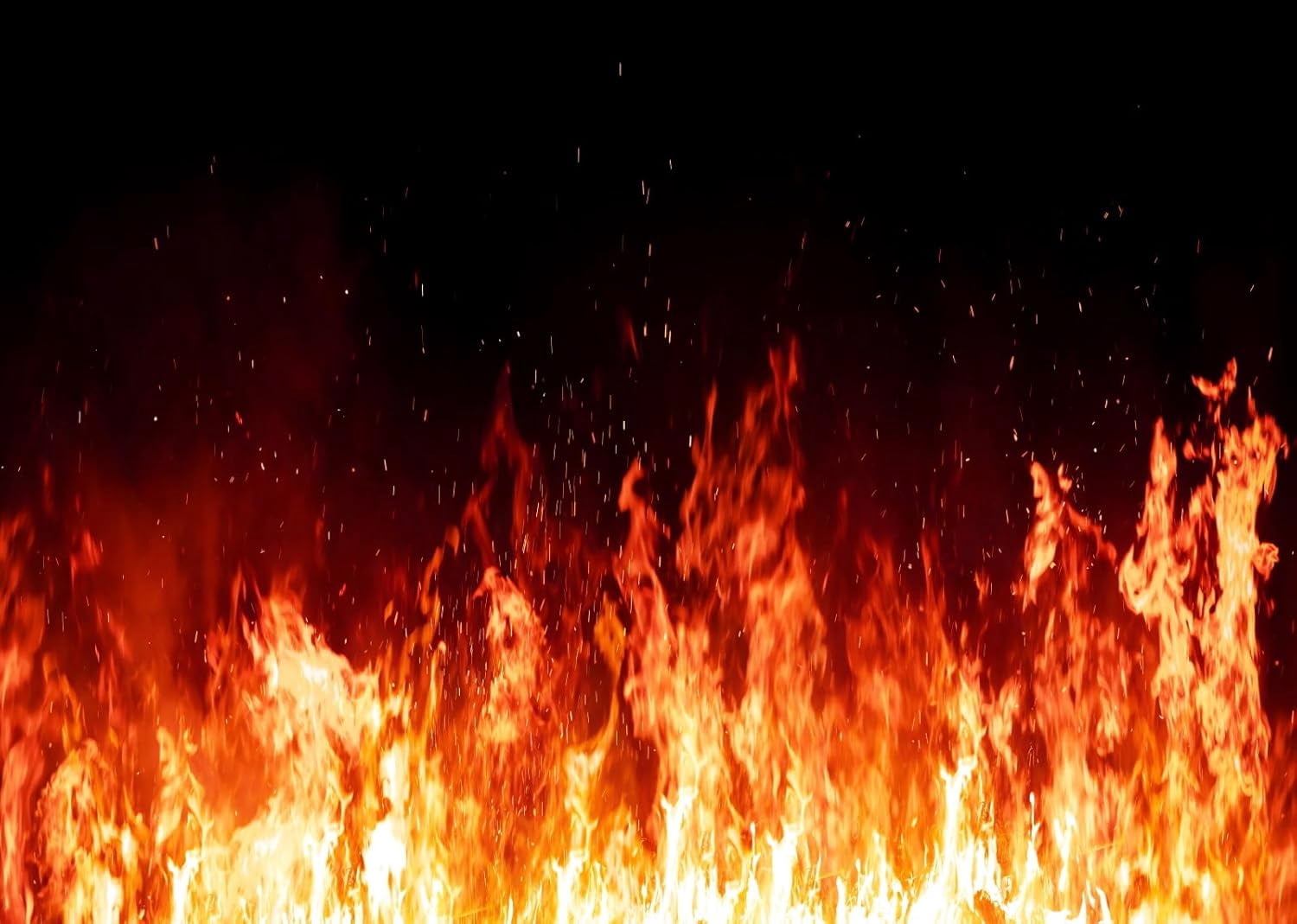 Burning Fire Black Backdrop Roaring Flame Photography Background for ...