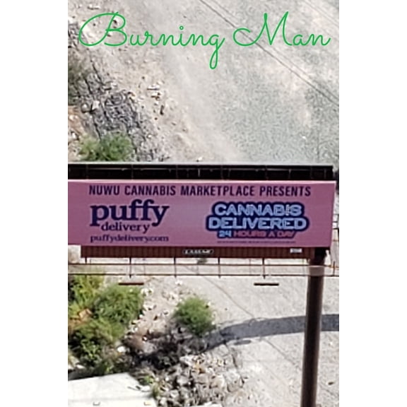 Burning Man: The Dust (Paperback)
