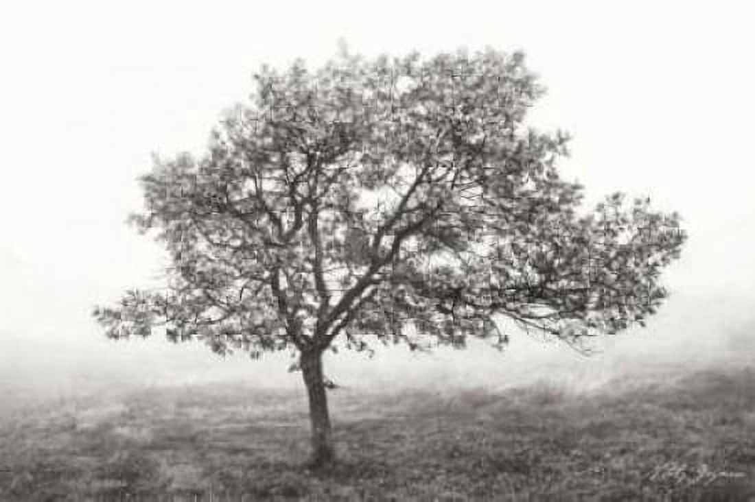 Burning Oak I BandW Canvas Art - Vitaly Geyman (12 x 18)