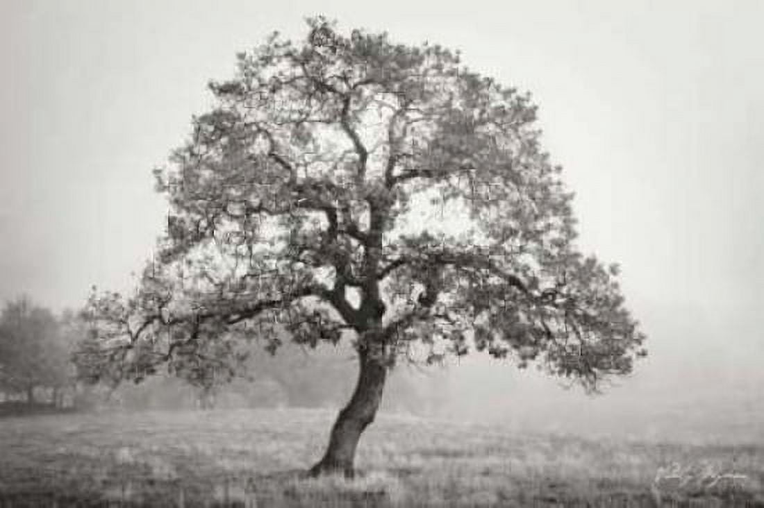 Burning Oak III BandW Canvas Art - Vitaly Geyman (20 x 28)